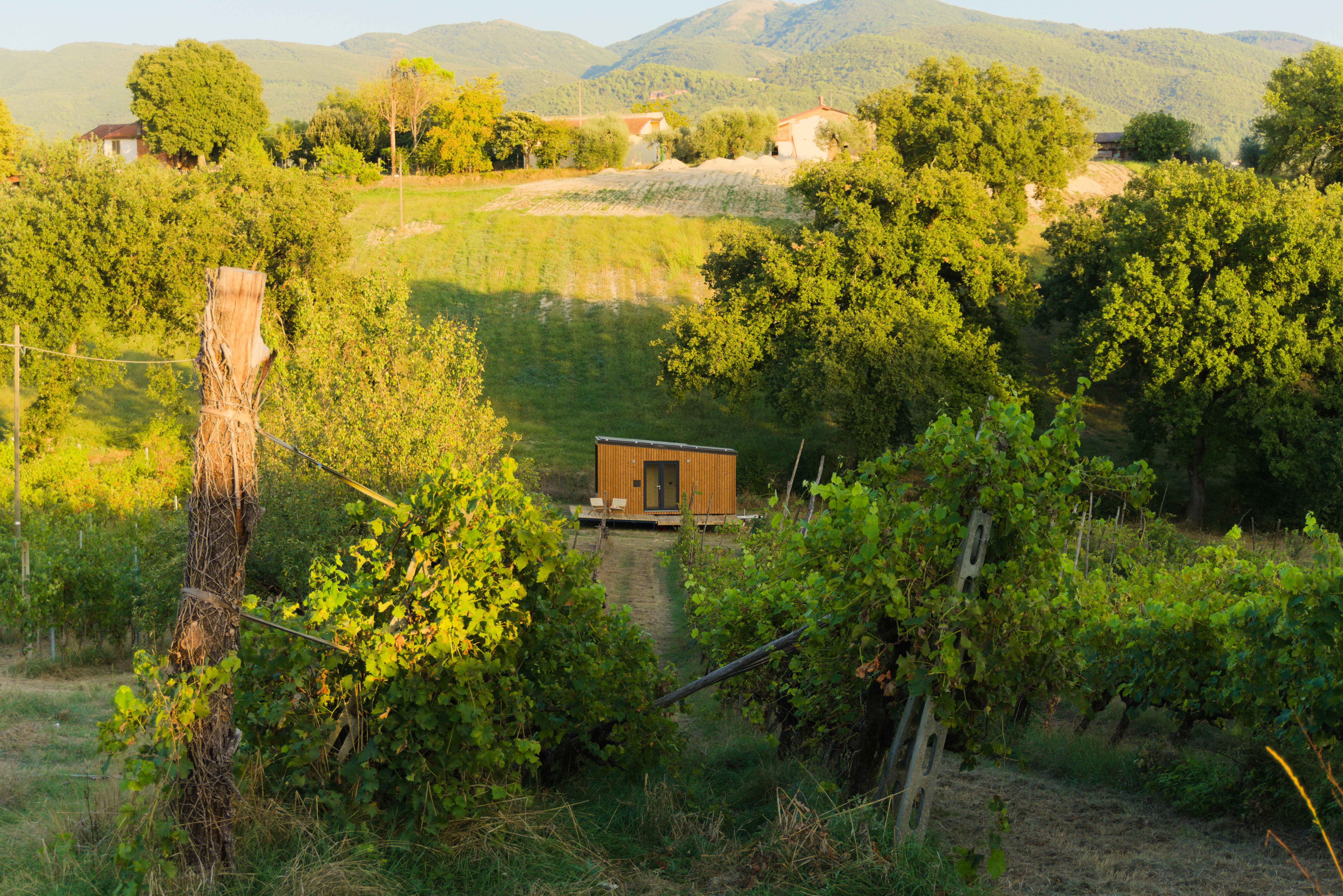 Vista aerea della tiny house immersa nel bosco